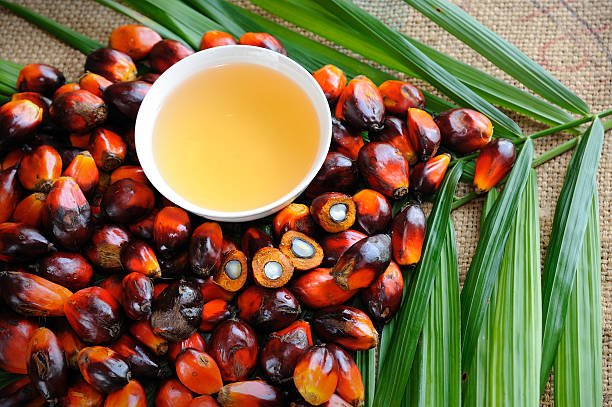 Close up of fresh oil palm fruits with cooking oil, selective focus.